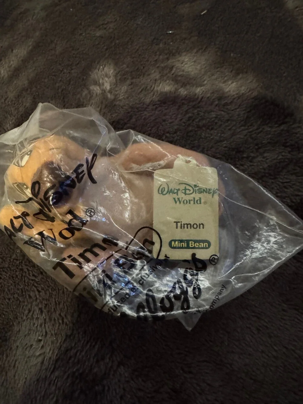 Walt Disney World walt disney